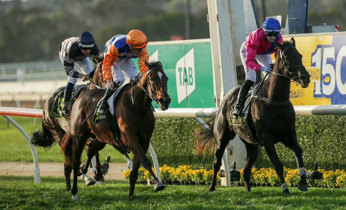 PIPPED AT POST: A Good Yarn (right) just misses out on winning race ten in a photo finish. Picture: Chris Doheny