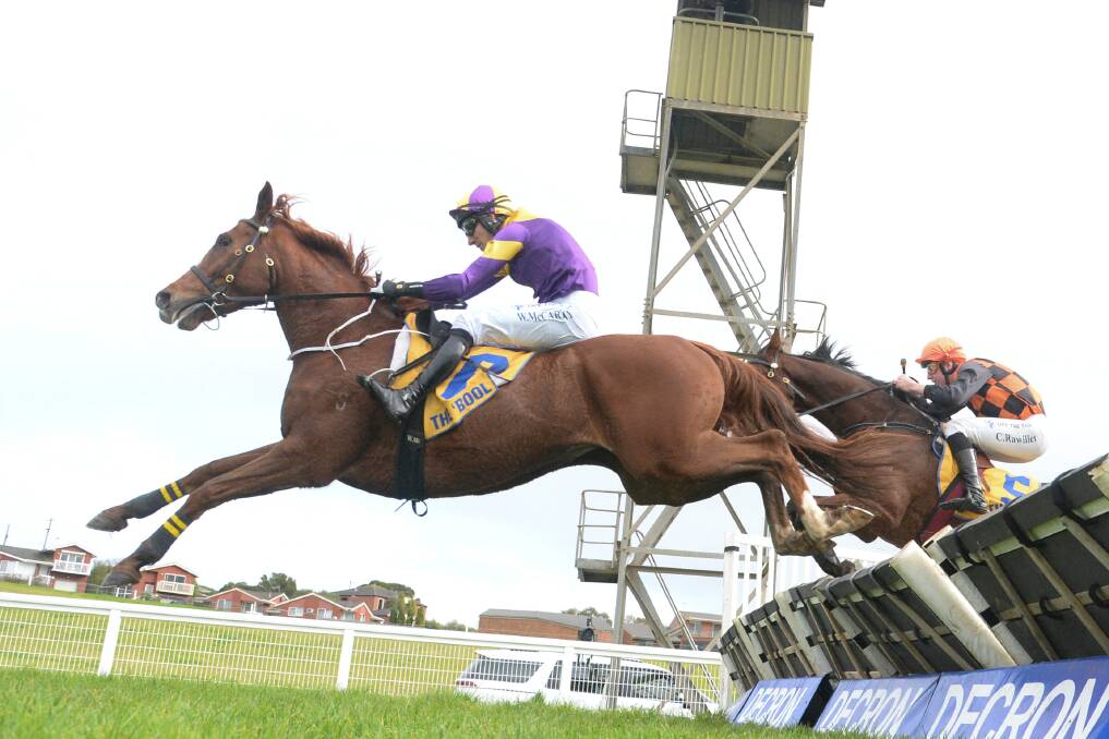 The Rattlin' Bog, ridden by William McCarthy, won its maiden hurdle at Warrnambool on Sunday. Picture by Racing Photos