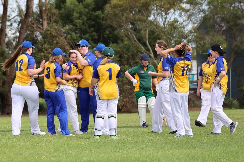 Cobden Knights celebrate a Jessica Walsh (third from left) wicket earlier this season. Picture supplied