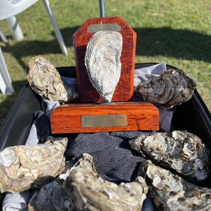 Jack was the inaugural winner of Narooma Oyster Festival's biggest oyster competition and was mounted on trophy after it died. Picture supplied.