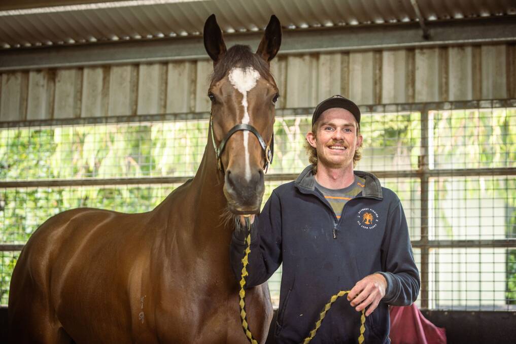 Stablehand Nyle Gurry with promising galloper Queen Air earlier this year. Picture by Sean McKenna