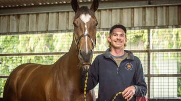 Stablehand Nyle Gurry with promising galloper Queen Air earlier this year. Picture by Sean McKenna