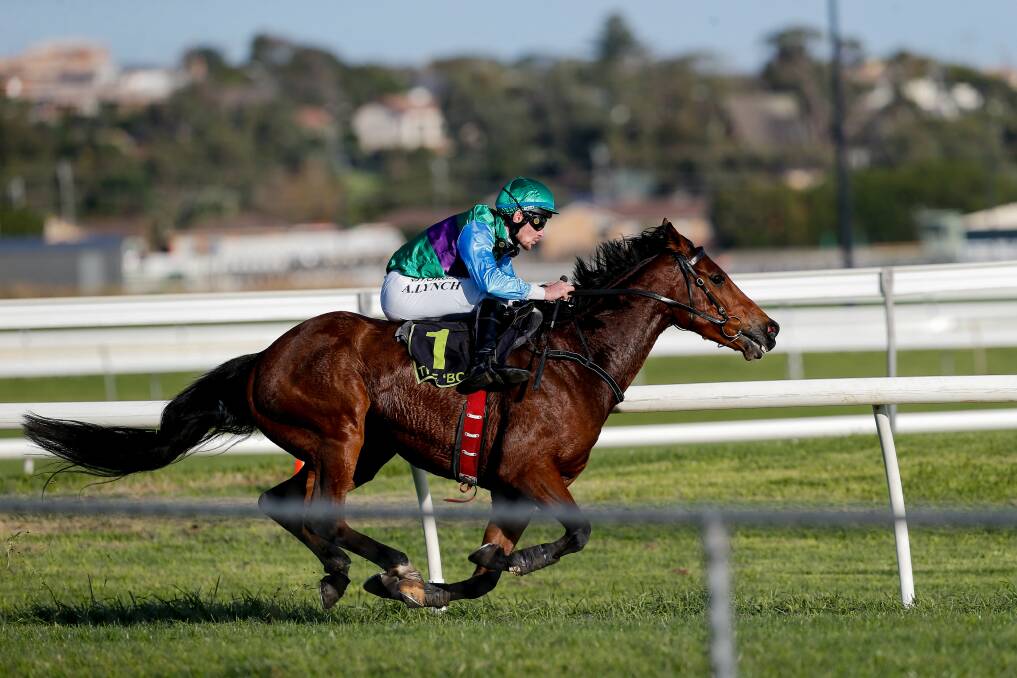 RETIRED: Zed Em in full flight at the Grand Annual Steeplechase in Warrnambool. Picture: Anthony Brady