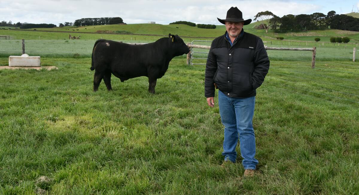 Mountain Valley stud principal Ian Durkin, Coolatai, NSW, with his new purchase from the Banquet spring sale, Lot 25, Banquet Sensation S005. Picture by Philippe Perez.