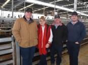 Matthew, Linda, Noel and Shaun Roache, Alkira Pastoral, Woolsthorpe, sold a run of pens of heifers, with the best pen being 14 Angus heifers, 403kg, sold for 500c/kg or $2017.