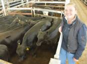 Mikayla Hein, Timboon, sold her first ever pen of cattle at the December Mortlake sale, which were 11 Angus grown steers, 372kg, for 418c/kg or $1556. Picture by Philippe Perez.