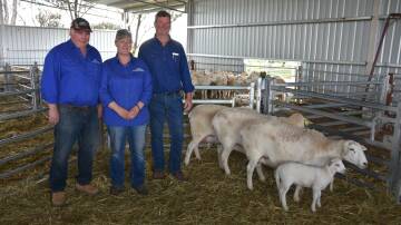 Brendary co-stud principals David and Carey Brennan, Gil Gil with Scott Norman, Moyston with a number of his top ewe purchases at Brendary's inaugural sale.