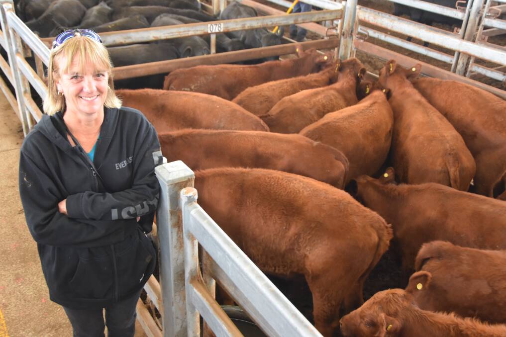 Elaine Knowles, Woolsthorpe, sold 17 Red Angus steers, 319kg, for 422c/kg or $1349. Ms Knowles says she is still pleased with her sale, despite prices falling back from the equivelant sale last year. Picture by Philippe Perez