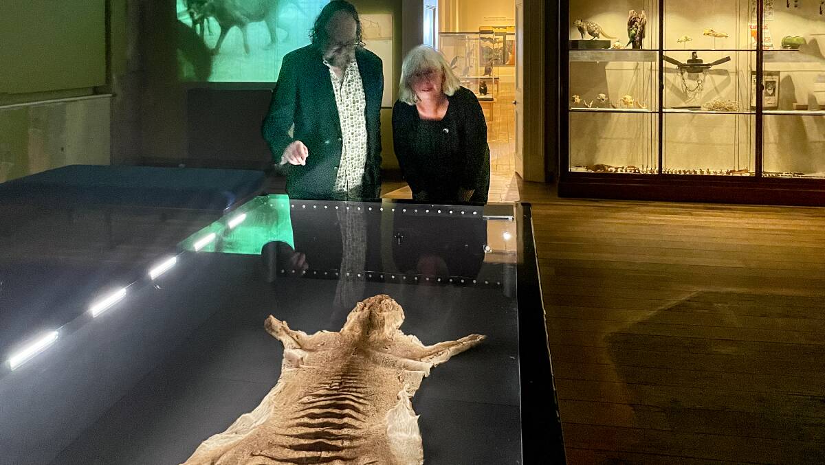 Researchers Robert Paddle of the Australian Catholic University and Kathryn Medlock of the Tasmanian Museum of Art, with the remains of the last thylacine. Picture by Ben Seeder