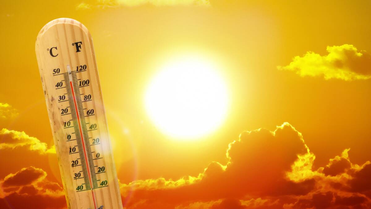 A heatwave is hitting most of Australia with some areas reaching up to 50 degrees over the next few days. File picture