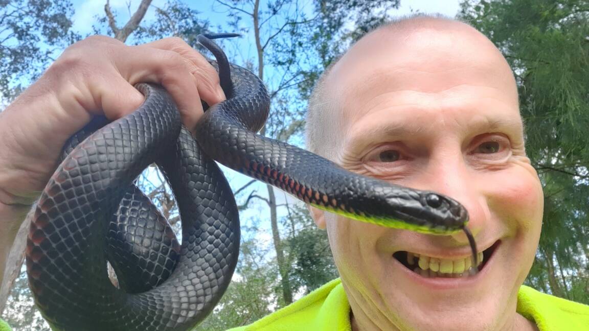 The 'Snake man' Raymond Hoser takes a candid picture with a snake (Picture by Raymond Hoser)