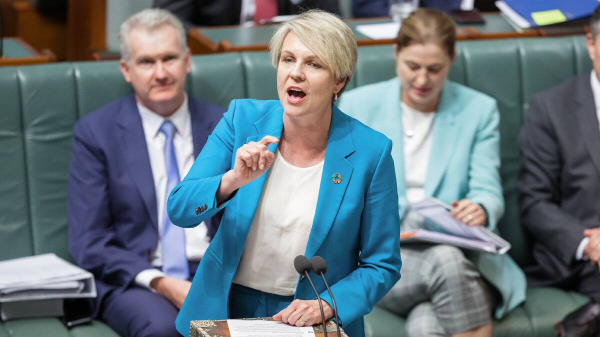 Environment Minister Tanya Plibersek. Picture by Sitthixay Ditthavong