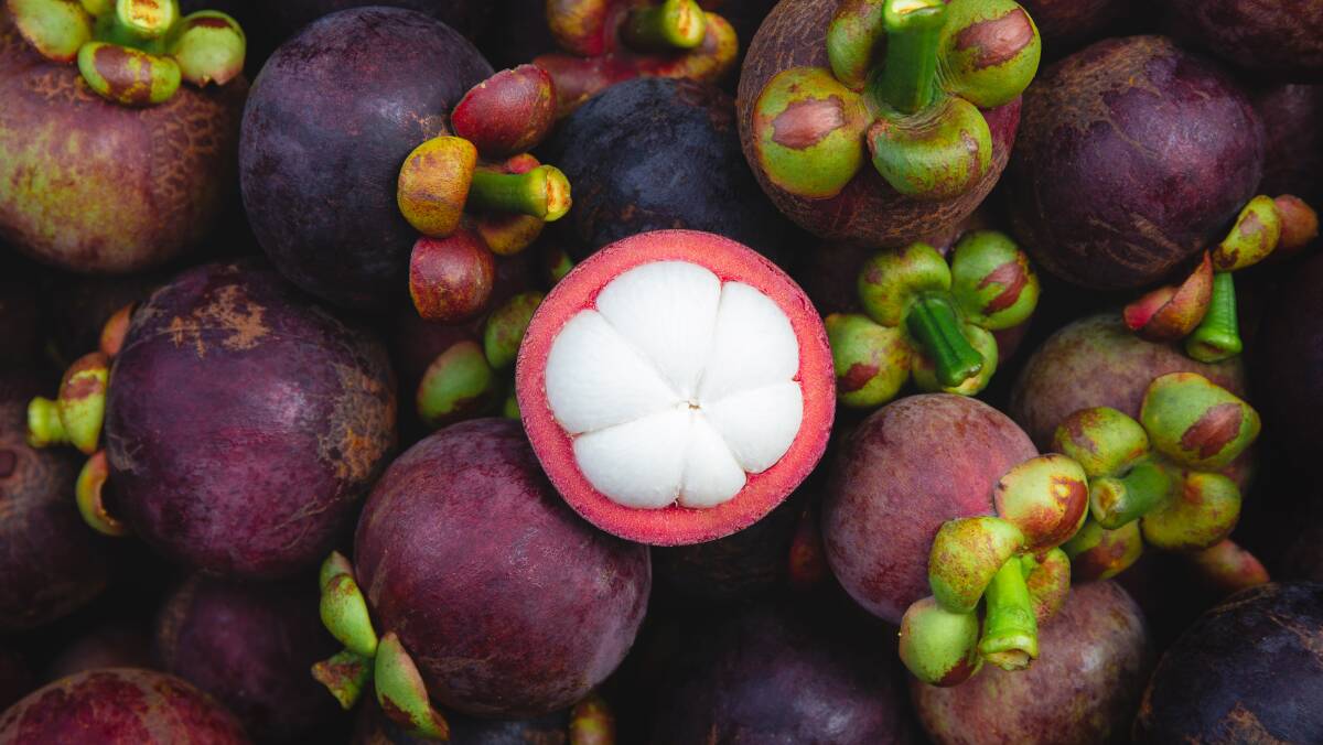 Mangosteen, the 'queen of fruits', tastes similar to champagne. File photo