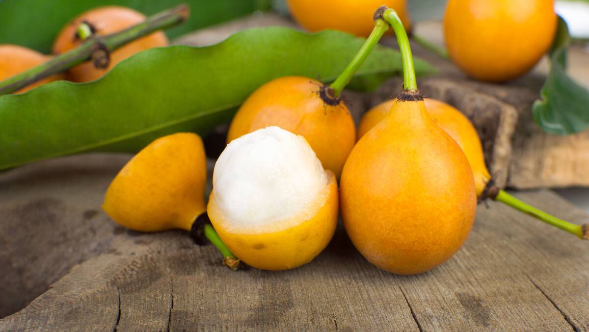 Achachas, the 'kissing fruit' or 'Bolivian mangosteen' taste similar to sorbet or lemon sherbet. File photo