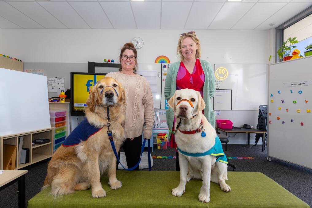 Cooper the golden retriever and Norman the labrador with teachers Leah Boyd and Lucy Davidson. Picture by Eddie Guerrero.
