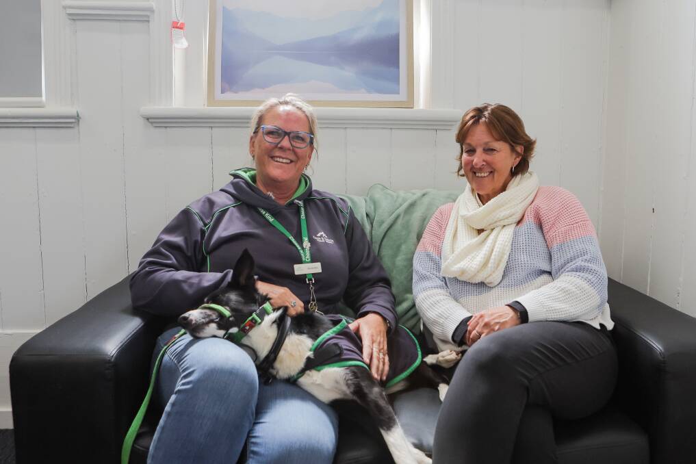 Glenda Allen and Tanya McPherson with Lilly the kelpie-koolie cross. Picture by Anthony Brady