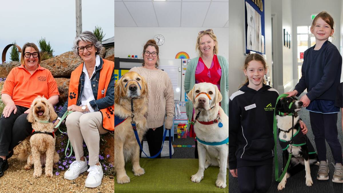 Some of the many dogs helping students across south-west Victoria. Pictures by Anthony Brady and Eddie Guerrero.