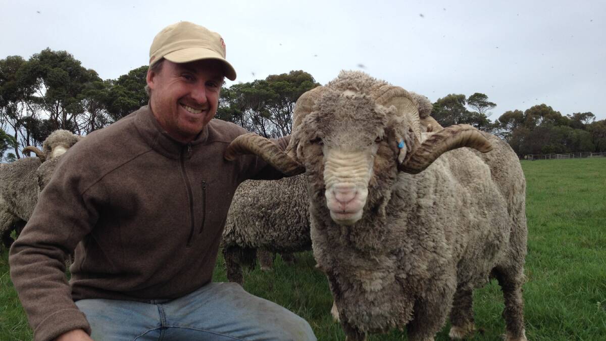 Connewarran merino stud owner Hamish Weatherly with one of his merinos.