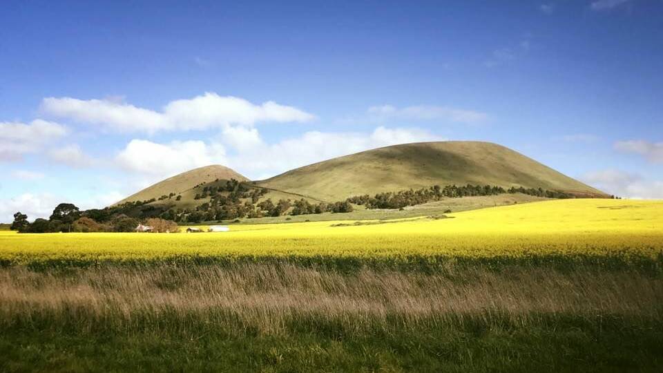 The community-owned Mount Elephant near Derrinallum will be the venue for the 'Waking the Giants" festival this weekend.