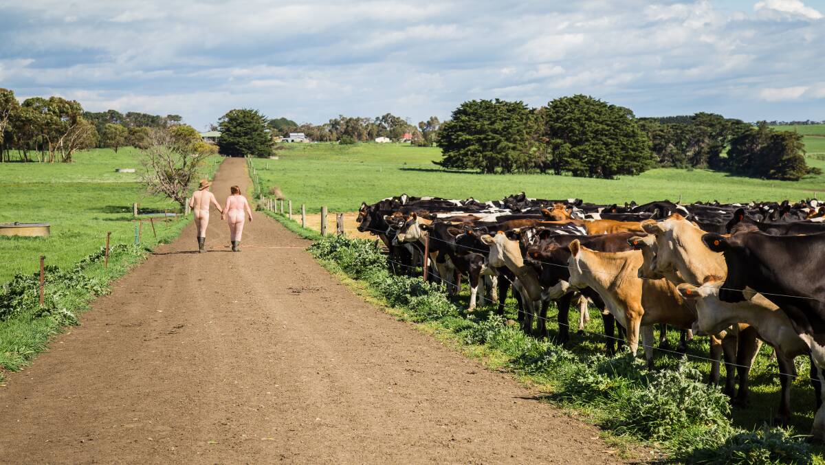 You don't see that everyday, Daisy!: One of the unique photos in the local "Butts for Bales" calendar that is raising money for Need for Feed disaster relief for farmers. Picture: Ocean View Photography