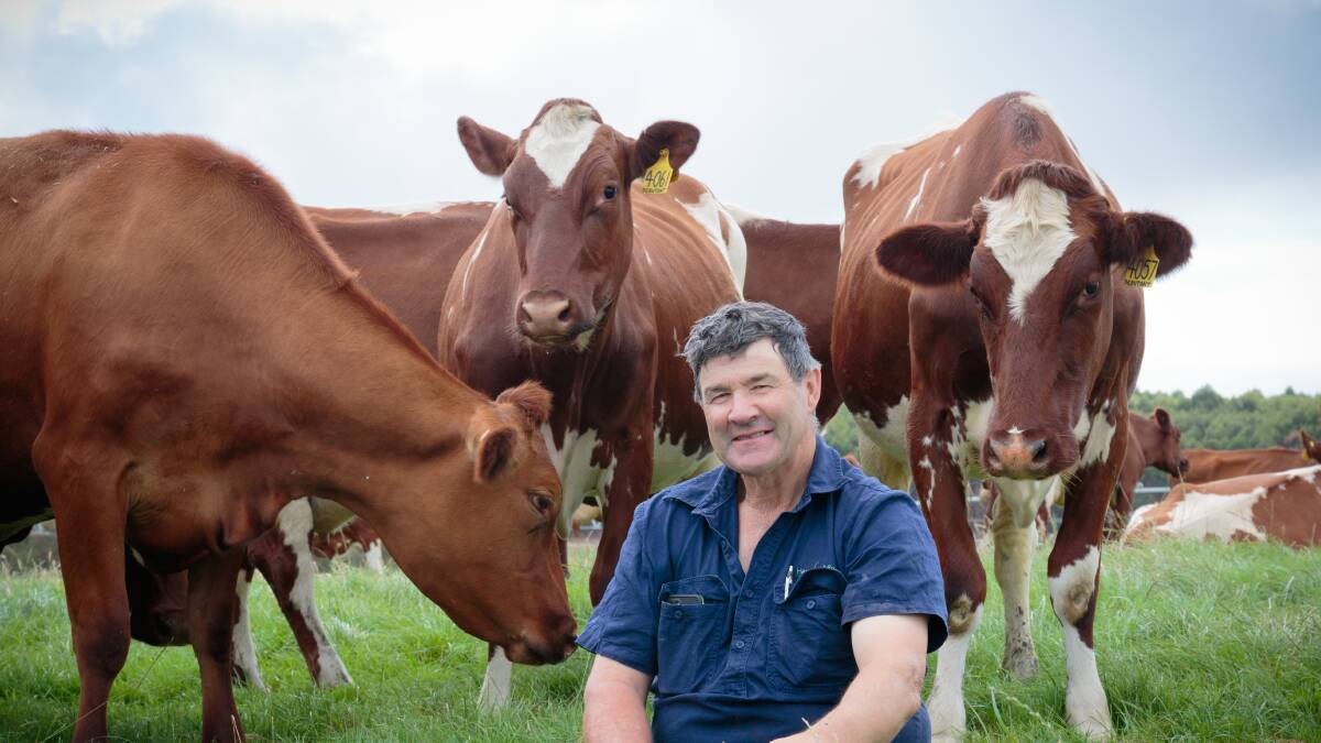 Red fan: Organising committee chairman for the Red dairy cattle breeds conference, Graeme Hamilton.            Picture: Michelle Hamilton.