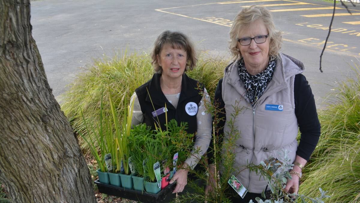 Growing back: Deakin University staff Julie Regan and Cheryl Finnegan with plants that will help revegetate farms burnt in the St Patrick's Day fires.