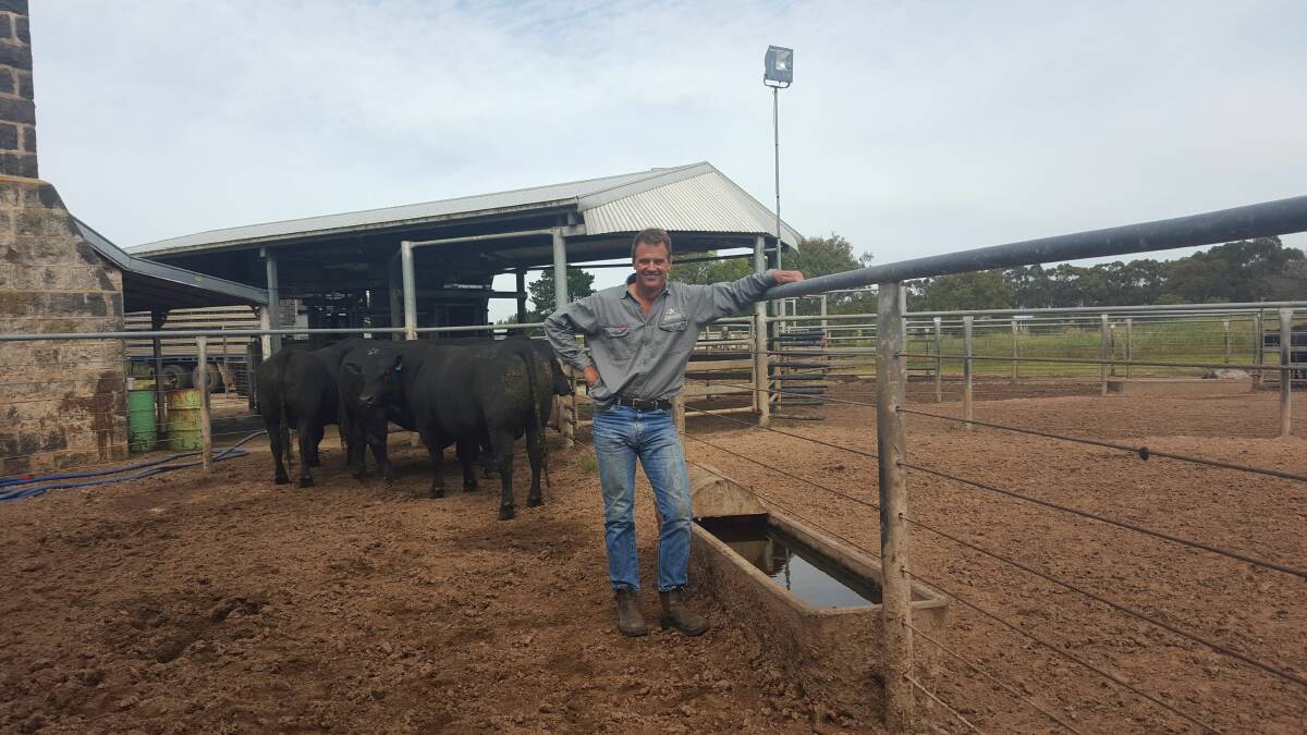 Field Day: Tom Gubbins is inviting cattle producers to a field day at Te Mania Angus on November 2 on Fixed Time Artificial Insemination and the latest cattle yard technology . 