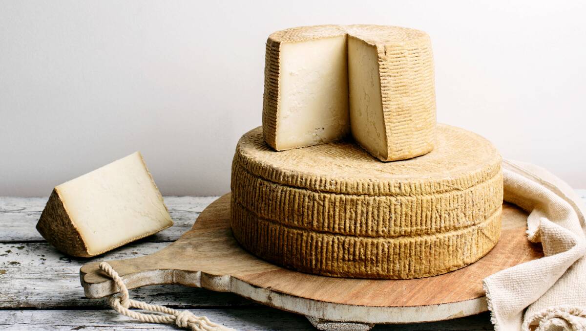 Gold medal: Shaw River Buffalo Cheese won a gold medal at the International Cheese Awards in England for its Annie Baxter Reserve, a semi-hard table cheese that has been matured for 16 months. 