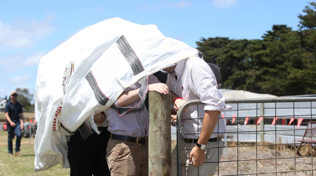 Novel: The NAB team goes for the laughs with an innovative way to get through one of the tasks in the Farmers Challenge. Pictures: Vicki Hughson