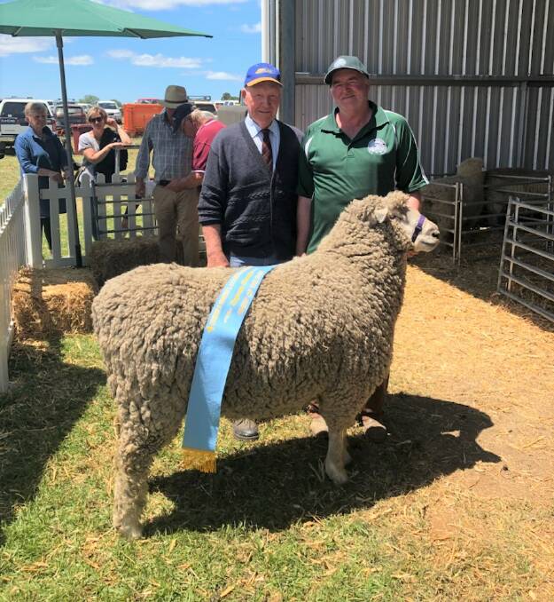 Romney wins: Judge Colin Taylor, left, of Brucknell, with Peter McDonald of "Grassbank" stud at Grassmere with his Romney ram that won the Supreme Champion title at the 2018 Noorat Show. 