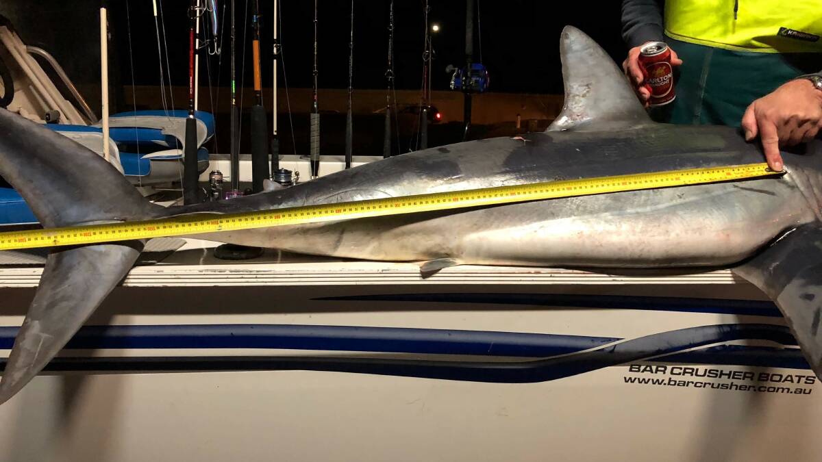 This mako shark would have just been legal under the now abandoned minimum catch size proposal.