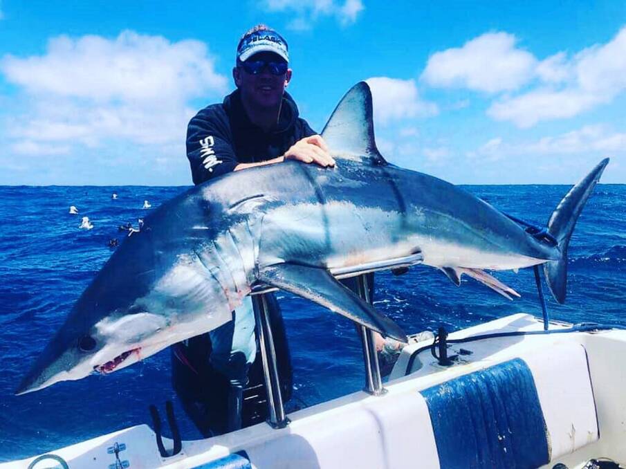 TRIUMPH: Grant Bellman landed this 80kg mako off Port Fairy in 100 metres of water. It was one of five that weighed in at the Shipwreck Coast Fishing Classic.