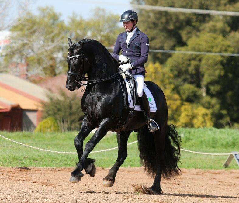 STRONG IN FRONT AND BEHIND: Baastian 510 performing a dressage move. 