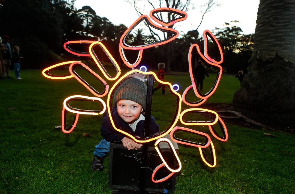NOT FEELING CRABBY: Leo MacKinnon from Noorat, 2, at the Solstice Search Party at the Warrnambool Botanic Garden. 