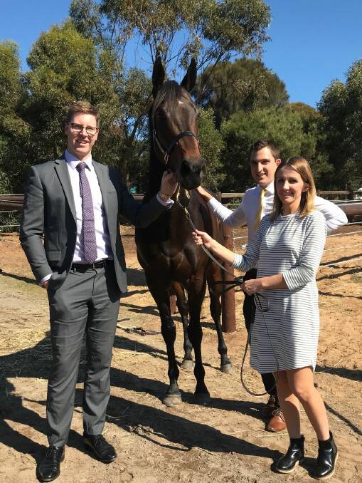 READY FOR THE RACES: Warrnambool Young Professionals Jacob Castley, Steve Aberline and Angie Paspaliaris with her racehorse Flo Flo. 