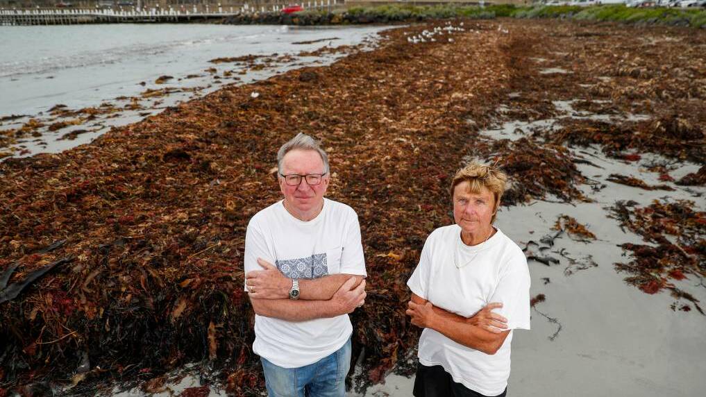 Letters: 'Time to remove beach seaweed'