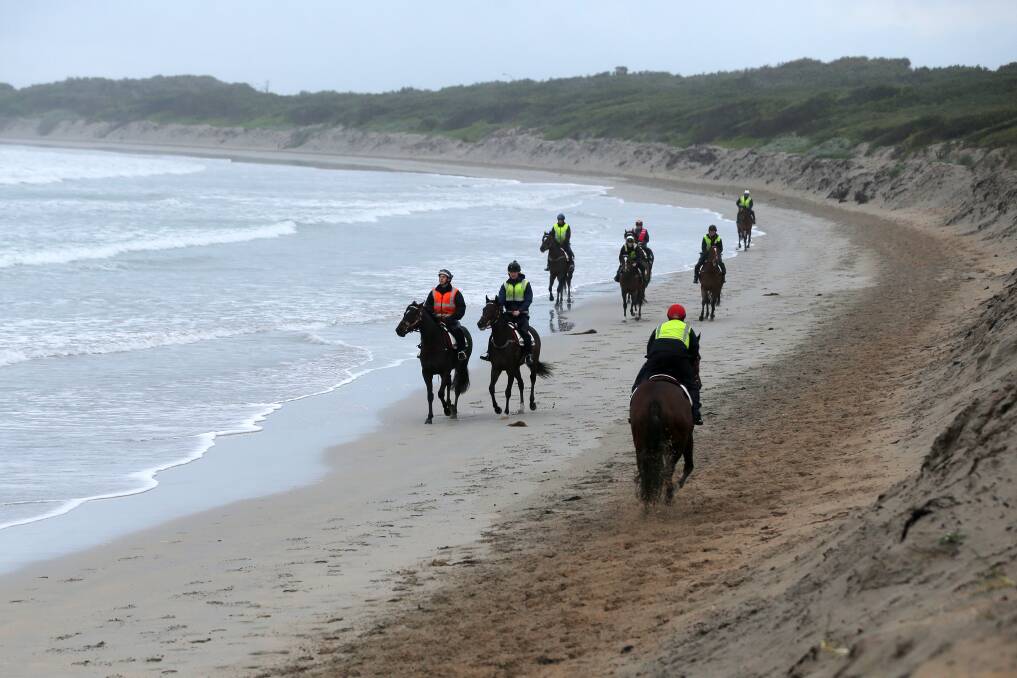 Horses train on Warrnambool's main beach on Wednesday. Picture: Rob Gunstone