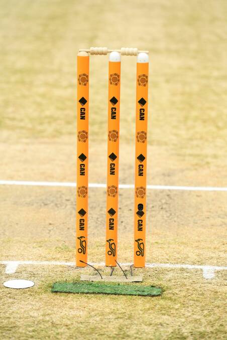 HONOUR: The Walkabout Wicket design stumps on the cricket pitch. 