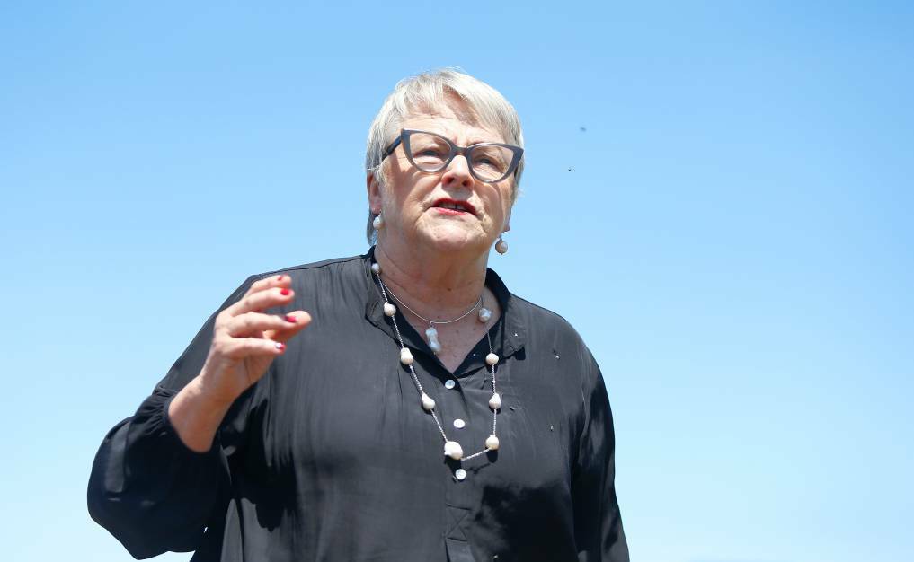 APPALLED: MP Bev McArthur spoke about the dire state of south-west roads in parliament.