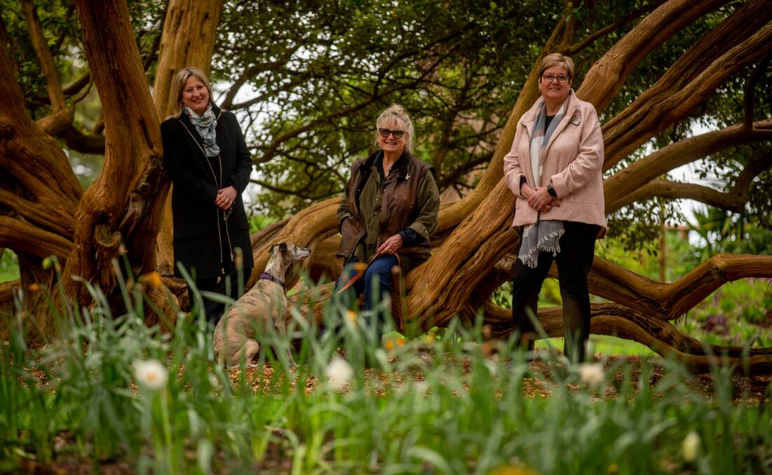 MP Gayle Tierney with Camperdown botanic gardens president Emma Bell and Corangamite Shire mayor Ruth Gstrein at the official opening of the revamped arboretum. Picture by Chris Doheny