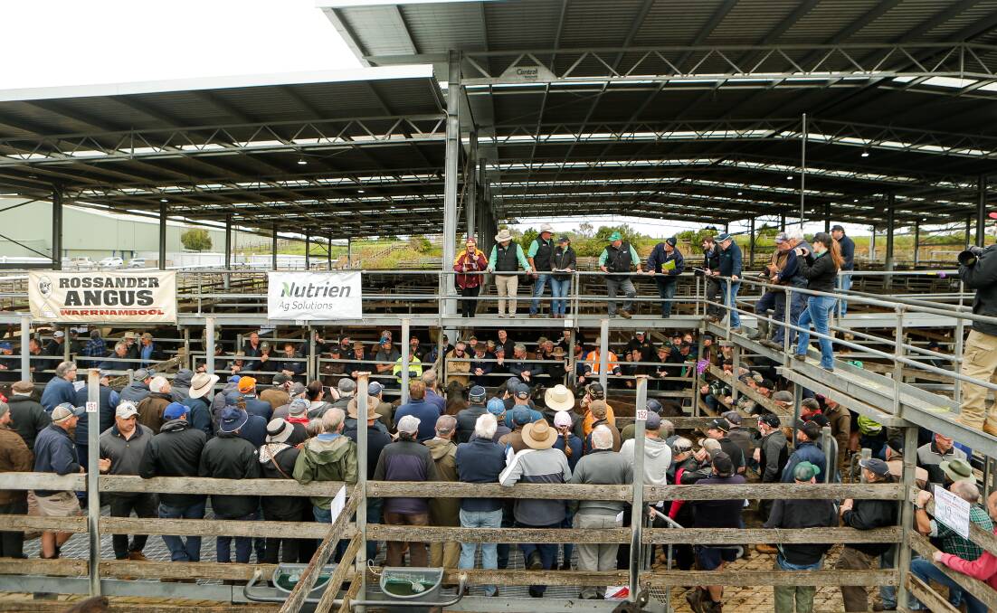 The final sale will be held at the Warrnambool saleyards on December 28. Picture by Anthony Brady