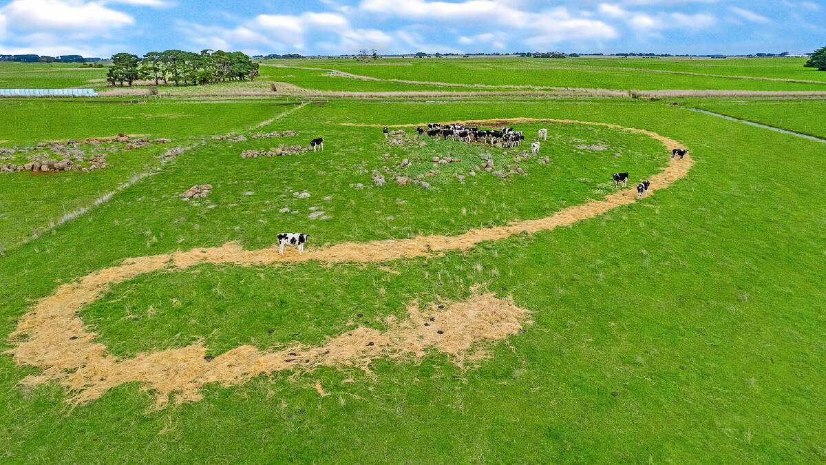 ON THE MARKET: This grazing land in Orford is attracting a lot of interest from interstate buyers. It will be auctioned on August 5.