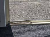 This small tiger snake was found sunning itself in the Port Fairy Golf Club recently. Picture supplied