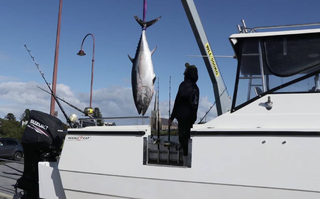 CATCH OF THE DAY: Melbourne's Mason Schulze reeled in a 90 kilogram southern bluefin tuna off Portland on Wednesday. Picture: Supplied