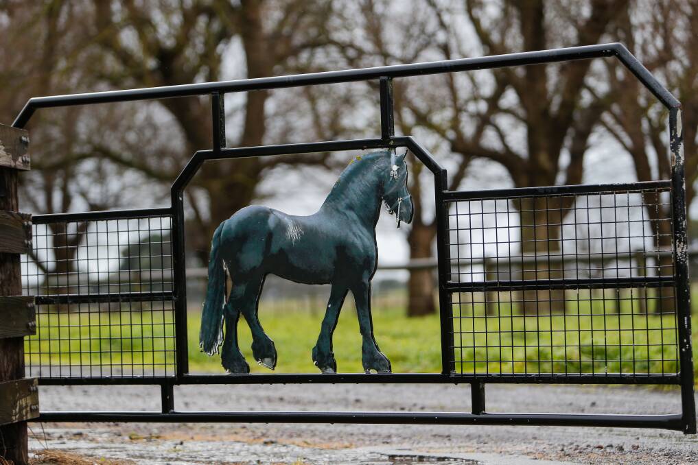 REGULARLY USED: The equestrian centre is popular with community members. Picture: Anthony Brady