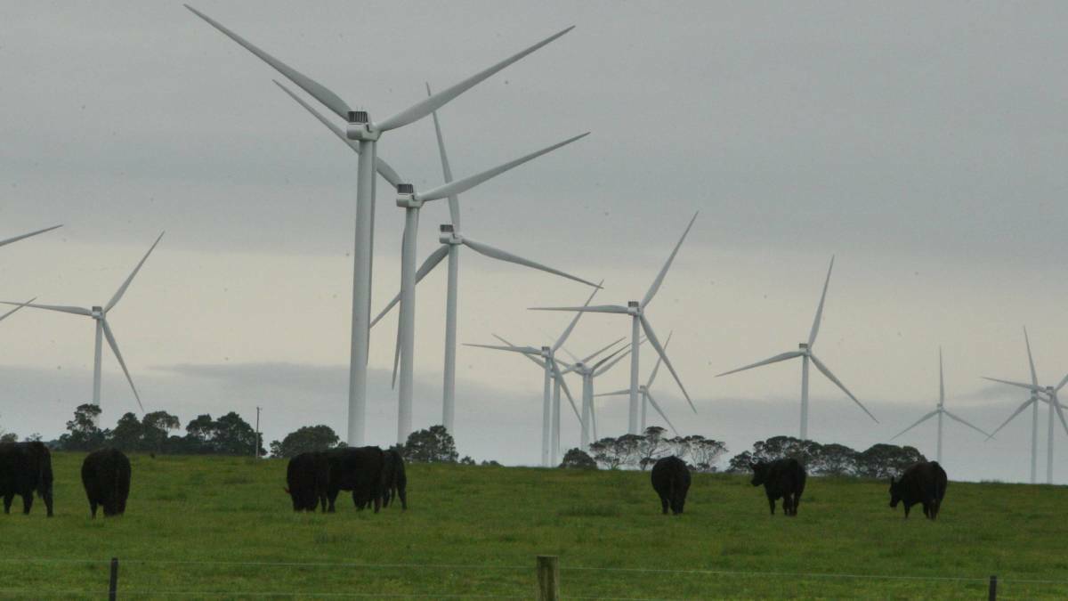Hawkesdale community members want an updated survey of how many birds and bats frequent the site of a wind farm, which is under construction.