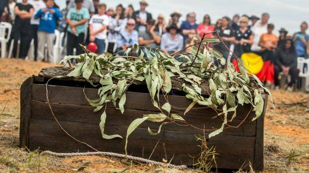 The casket made from a 5000-year-old red gum containing Mungo Man's remains back on country after a four-decade fight for repatriation. Photo: Justin McManus