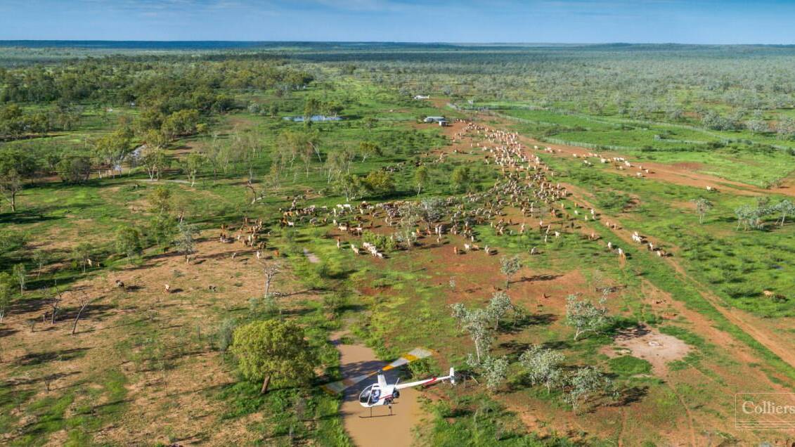Enormous cattle station with a $300 million asking price hits the market