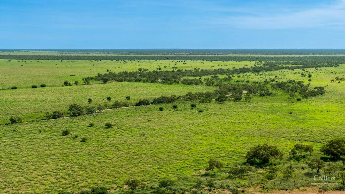 Enormous cattle station with a $300 million asking price hits the market