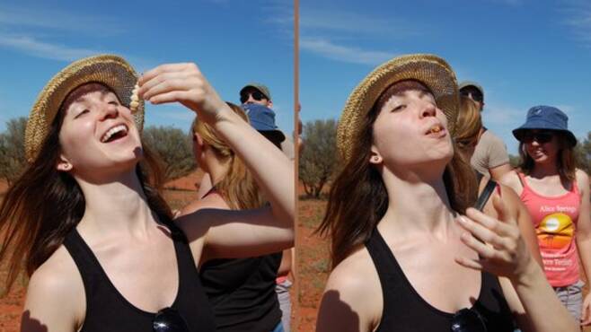 A young woman takes the plunge on a witchetty grub on Mulga's Adventure Tours. Image courtesy of Trip Advisor